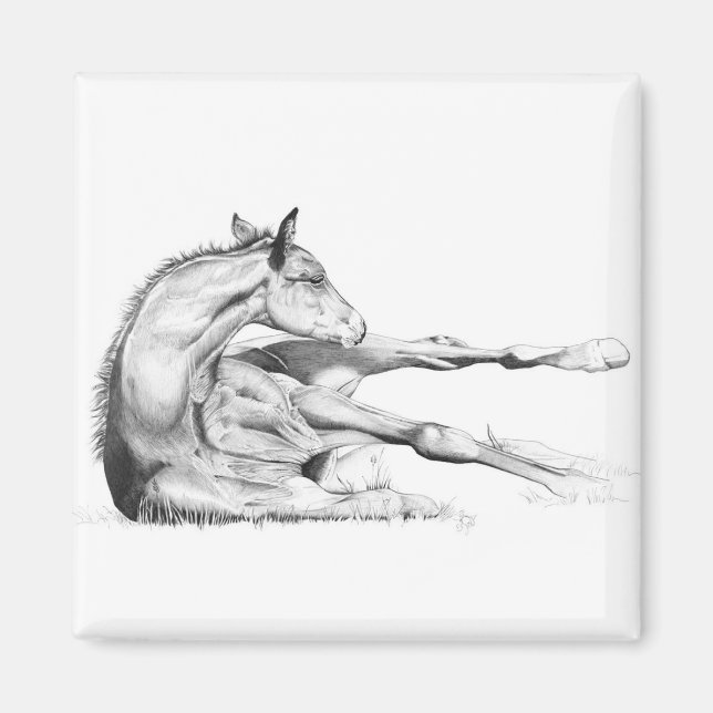 Imã Comichão Demasiado (Frente)