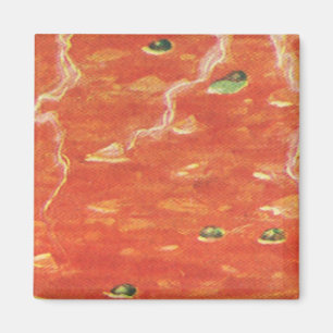 Imã Comida de vindima, Tigela Quente de Tomate com Erv