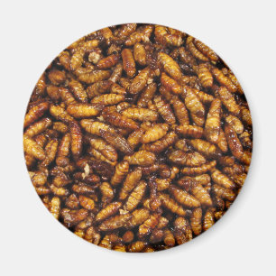 Imã Comida tailandesa de seda fritada da rua dos