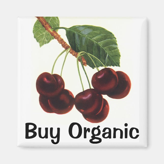 Imã Comidas de Frutas, Cerejas de Estripagem de uma Ár (Frente)