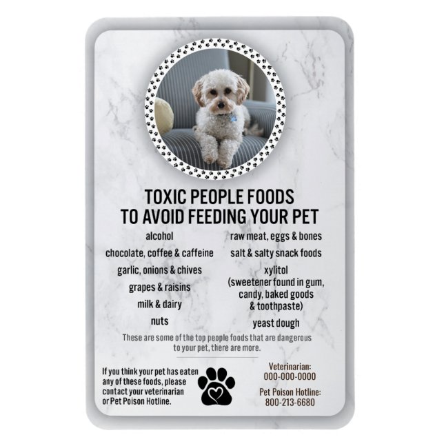 Ímã Comidas de segurança de Comida perigosas para evit (Vertical)