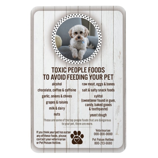 Ímã Comidas de segurança de Comida perigosas para evit (Vertical)