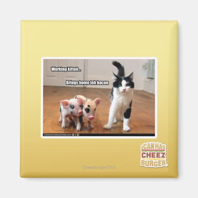 Imã Comitê de Trabalho (Frente)