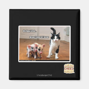 Imã Comitê de Trabalho