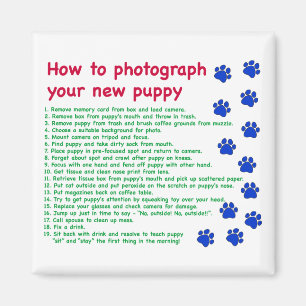 Imã Como fotografar seu novo filhote