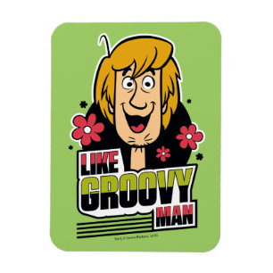 Ímã "Como gráfico desgrenhado do homem Groovy"