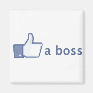 Imã Como um ímã do chefe