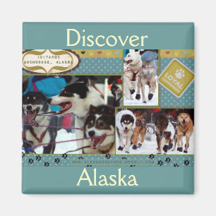 Imã Companheiros leais de Iditarod