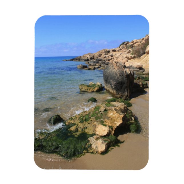 Ímã Compartimento Coral (Vertical)