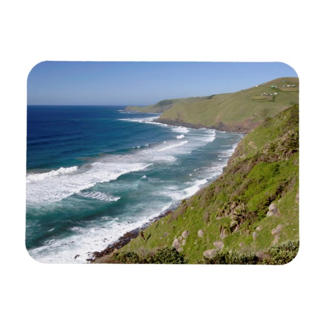 Ímã Compartimento de café da paisagem costeira (Horizontal)