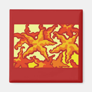 Imã Composição da estrela do mar