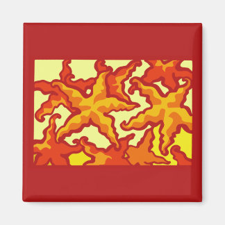 Imã Composição de Starfish