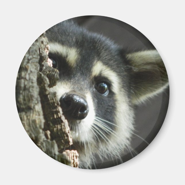 Imã Comprado (Frente)