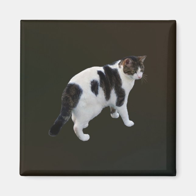 Imã Comprimido branco com adesivos escuros (Frente)