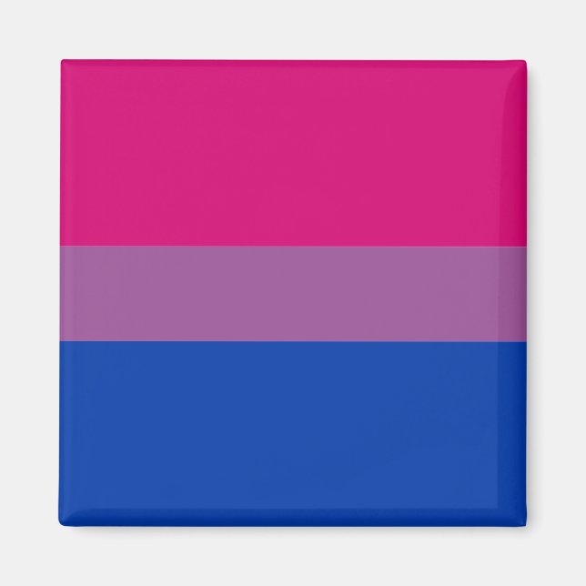 Imã Comunidade Bissexual de Sinais e Orgões/bandeira d (Frente)