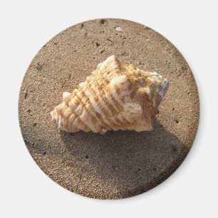 Imã Conch Seashell Sand Beach Magnet