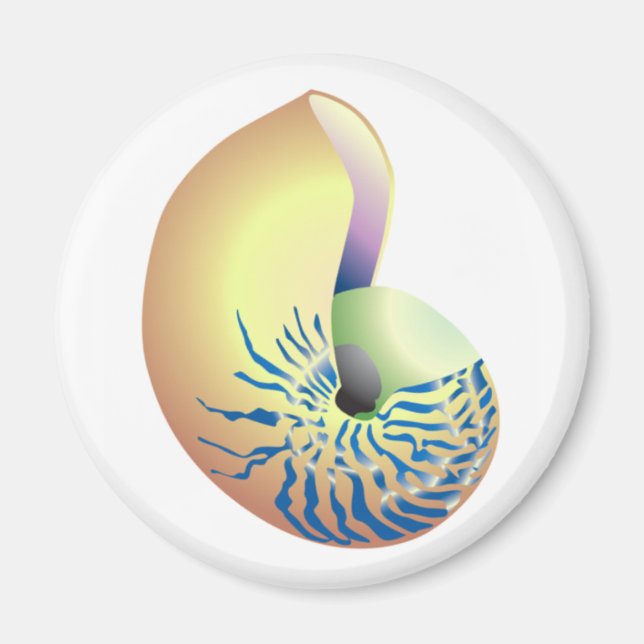 IMÃ CONCHA (Frente)