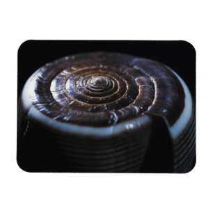 Ímã Concha de Cone