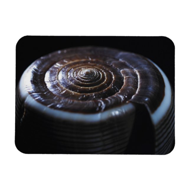 Ímã Concha de Cone (Horizontal)