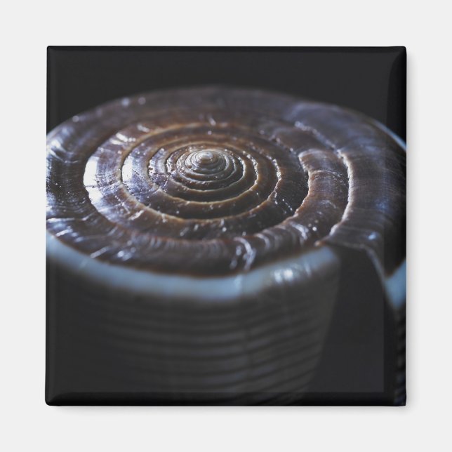 Imã Concha de Cone (Frente)