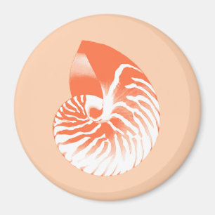 Imã Concha de Nautilus - laranja coral e branco