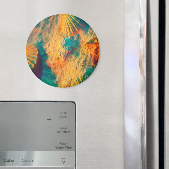 Imã Conchas, Conchas de Vidro, Conchas de Cockle, Viei (In Situ (Fridge))