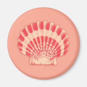 Imã Conchas marítimas - coral e pêssego
