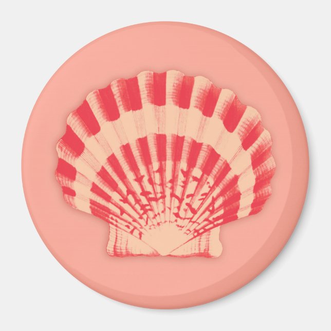 Imã Conchas marítimas - coral e pêssego (Frente)