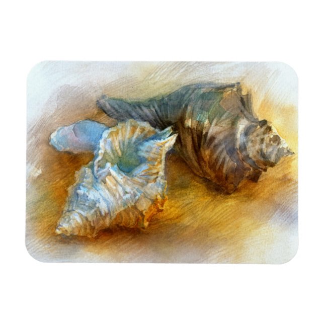 Ímã Conchas na praia (Horizontal)