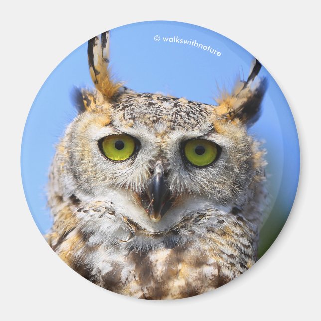 Imã Concurso inaugural com uma bela coruja Excelente (Frente)