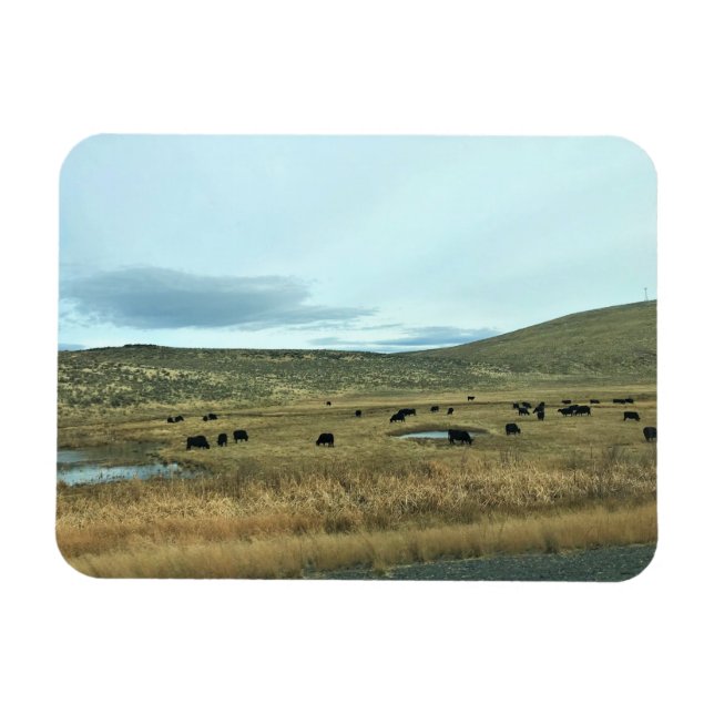 Ímã Condado de Baker Rural, Oregon (Horizontal)
