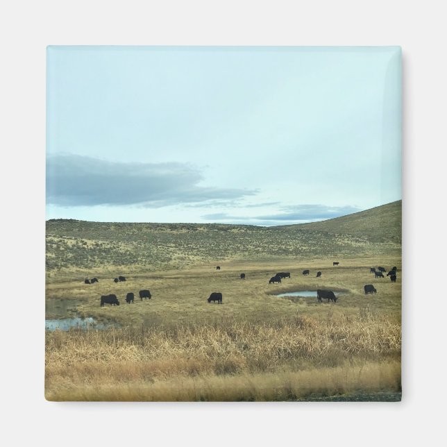 Imã Condado de Baker Rural, Oregon (Frente)