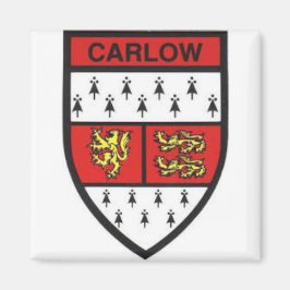 Imã Condado de Carlow Irlanda