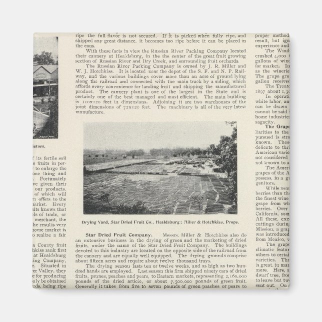 Imã Condado de Sonoma, Califórnia (Frente)