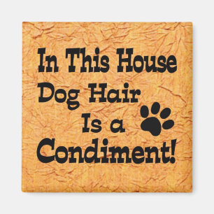 Imã Condimento de Cabelo de Cachorro