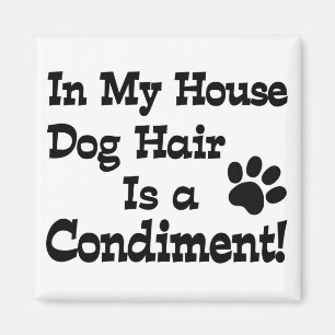 Imã Condimento de Cabelo de Cachorro