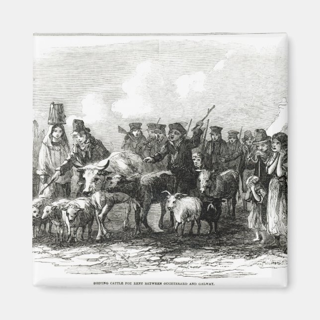 Imã Condução de Bovinos para Rendas (Frente)