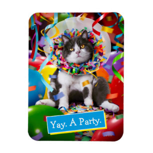 Ímã Cone de Festas de Cat In