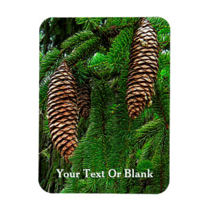 Ímã Cones E Agulhas