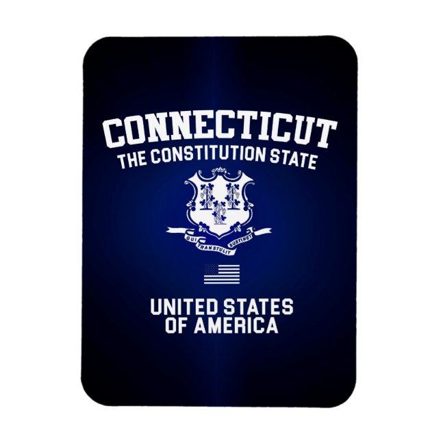 Ímã Conexão Do Estado Da Constituição (Vertical)
