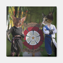 Imã Conexão francesa AOA