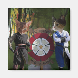 Imã Conexão francesa AOA