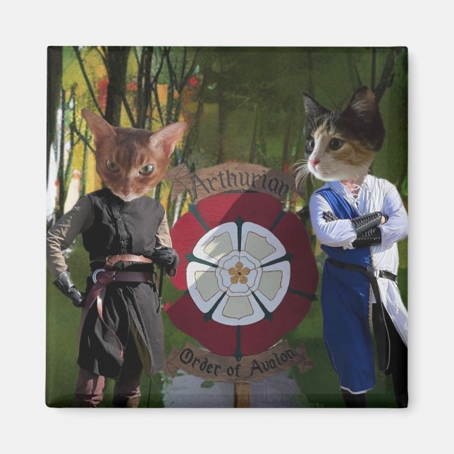 Imã Conexão francesa AOA (Frente)