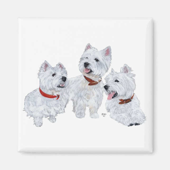 Imã Conferência Westie (Frente)
