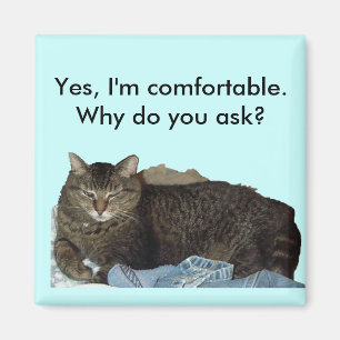 Imã Confortável no ímã do gato da lavanderia