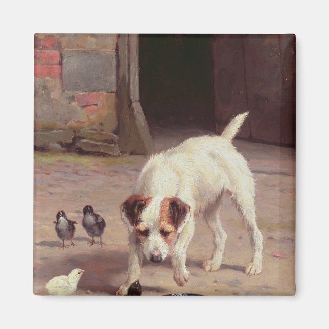 Imã Confrontação (Frente)