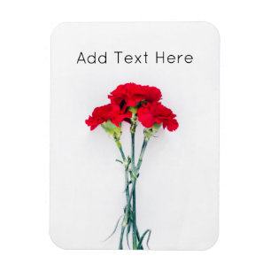 Ímã Conjunto de Flores Vermelhas