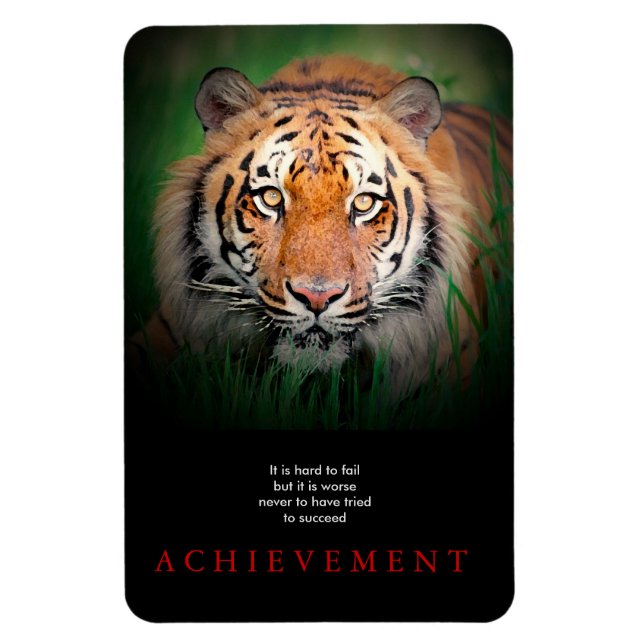 Ímã Conquista Motivacional Tiger (Vertical)