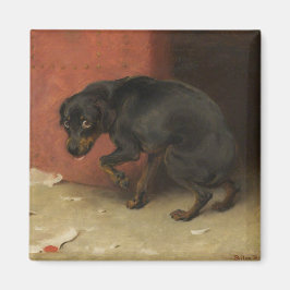 Imã Consciência Faz Borricas De Todos Nós