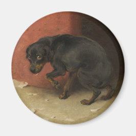 Imã Consciência Faz Borricas De Todos Nós